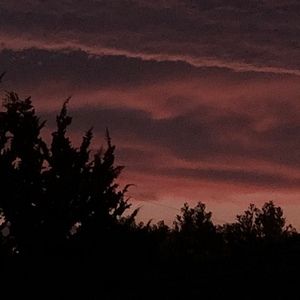 Meet your Posher, Kyla